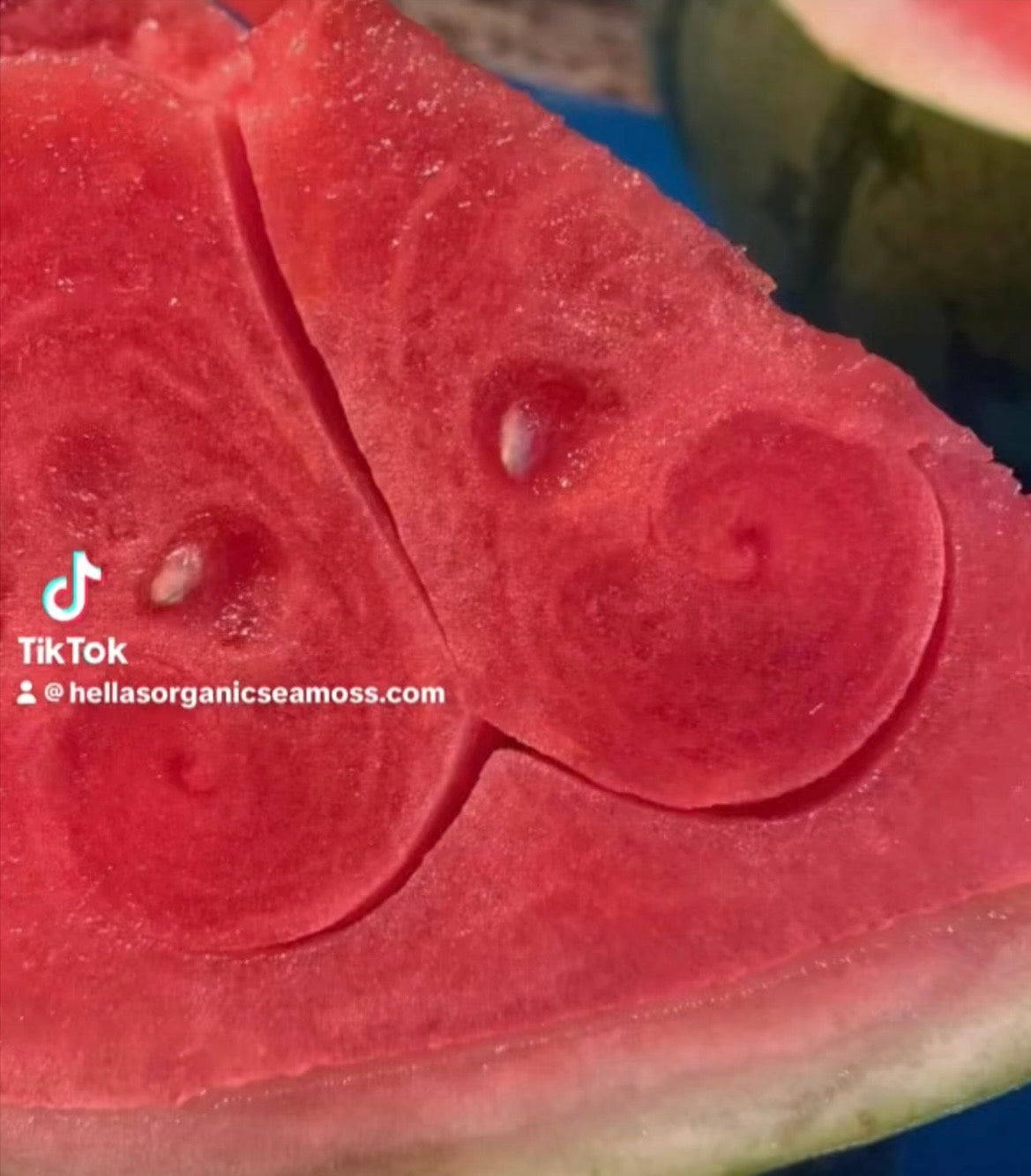 ORGANIC FRESH WATERMELON SEAMOSS