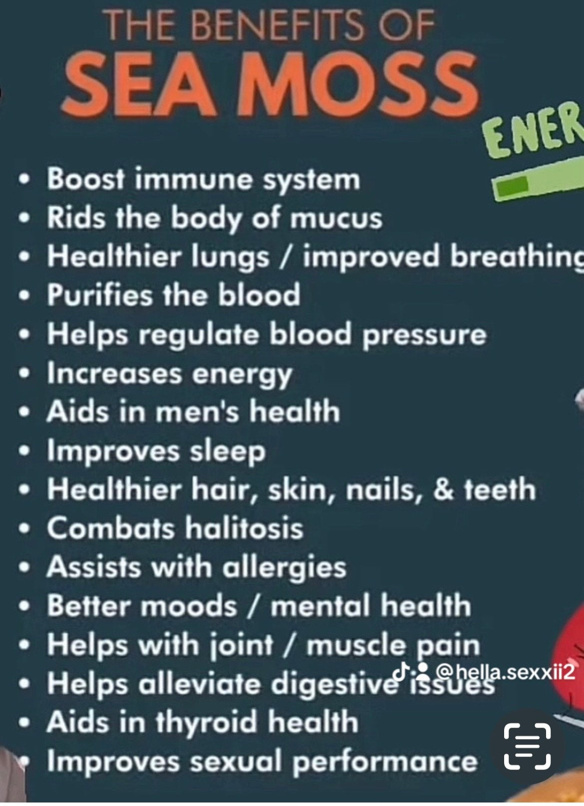 HELLA’S 100 % ORGANIC SEAMOSS PEACH AND STRAWBERRY