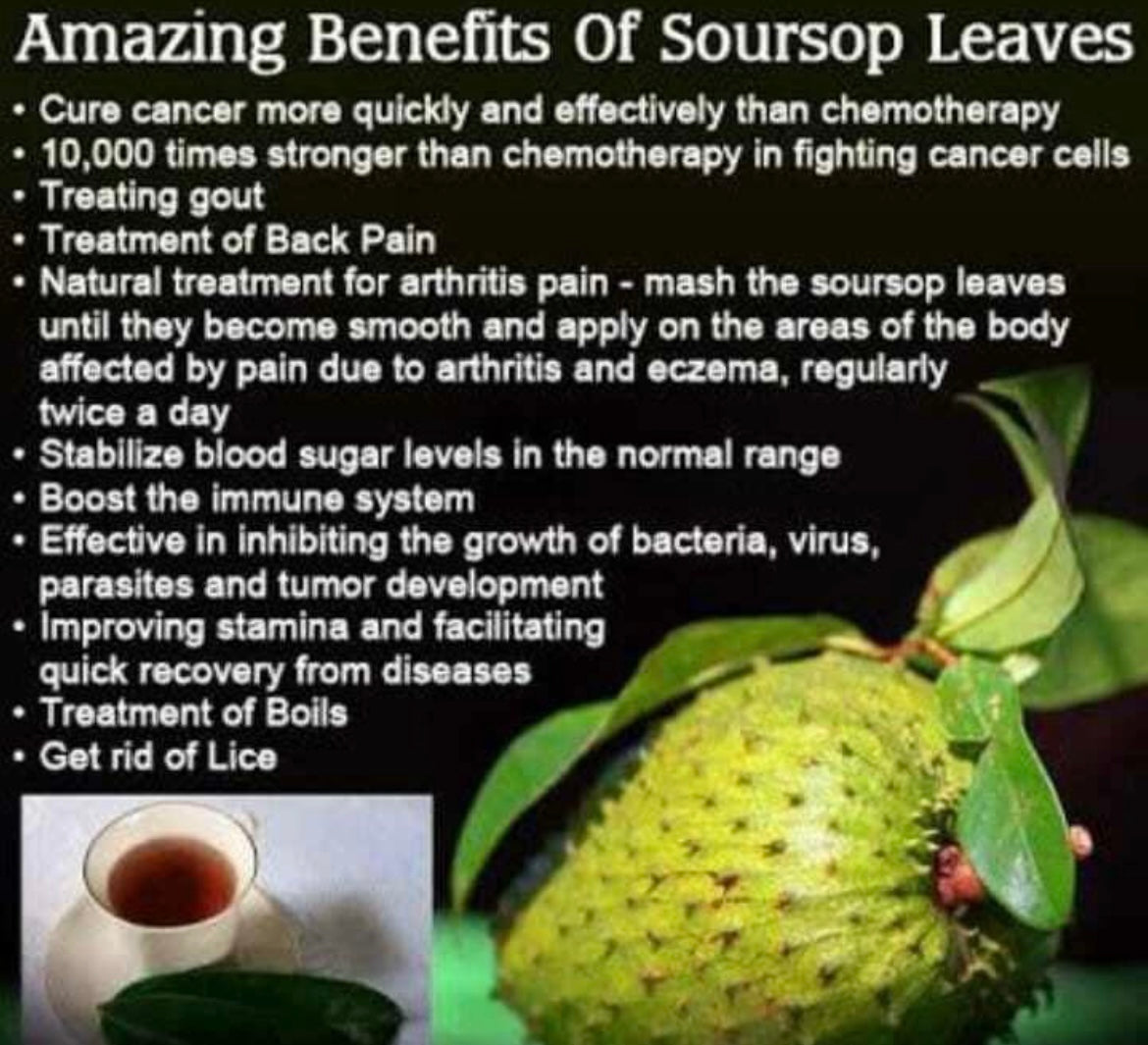 MY ORGANIC SOURSOP SEAMOSS