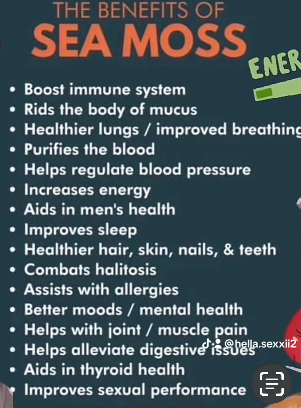 HELLA’S ORGANIC GINGER & TURMERIC ROOT SEAMOSS