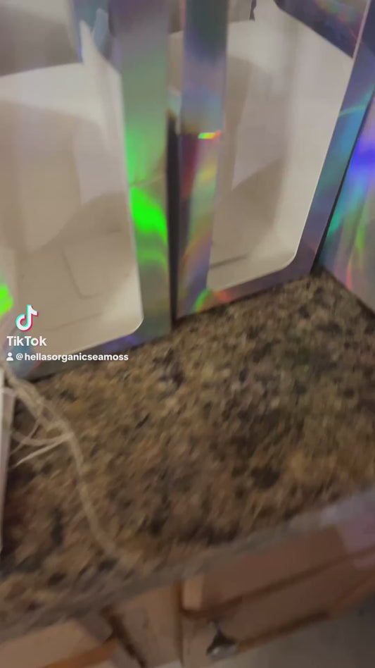 HELLA’S HOLIDAY CANDLE SET💕🔥